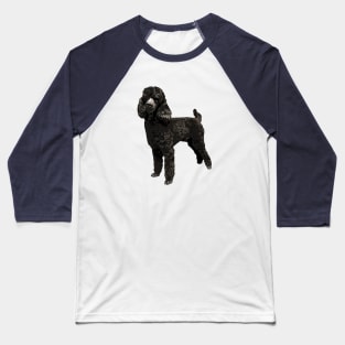 Poodle Black Mini Toy Cutie Baseball T-Shirt